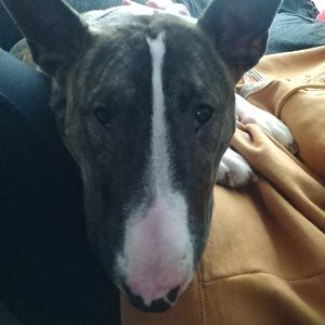 Meet your Posher, Chasity